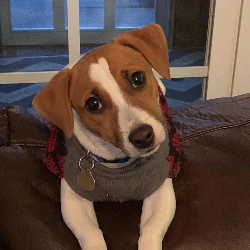 Meet your Posher, Brooke